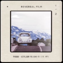 Reversal Film